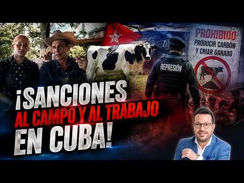 EL COLMO La DICTADURA los reprime por producir CARBÓN y CRIAR VACAS
