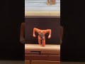 優勝したマッスルゲート神奈川の大会映像#shorts