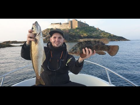 Sea Fishing in Dublin Skerries at Rockabill Lighthouse