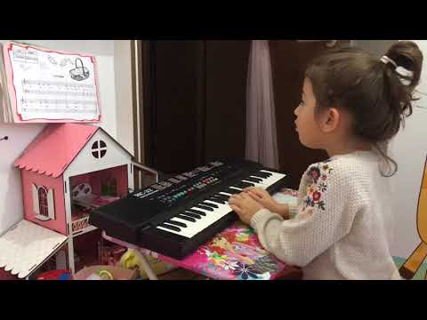 AIESEC Turkey 2019 - 2020 | Version 1