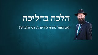 האם מותר להניח פרחים על גבי הקברים?