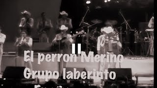 EL PERRON MERINO/GRUPO LABERINTO EN VIVO