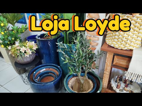 Loja Loyde em Gravatá Pernambuco.