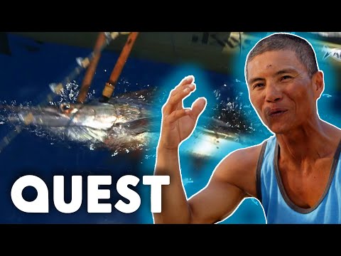 Secret Marlin Fishing Spot Provides A Monster Catch! | Pacific Warriors