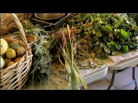 GOURMET WEEDS- The Wild Plant Cafe in Durango Colorado