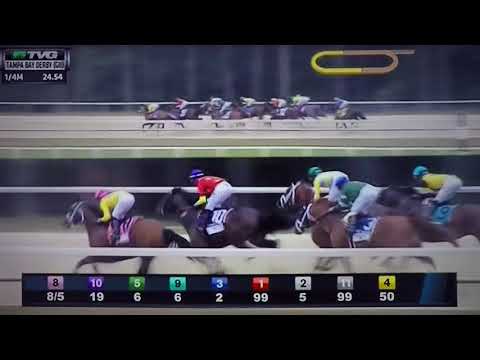 TAMPA BAY DERBY (G 2) STAKES 3/10/18 - QUIP !!