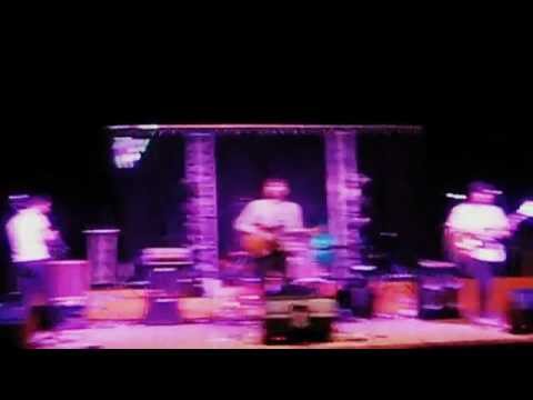 Il motivo di SIMA  Dellera