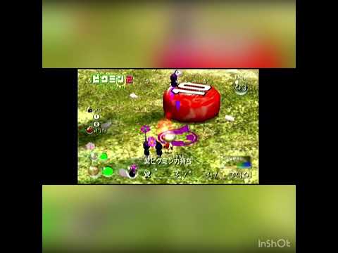 コガネムシは何を食べるのですか？彼らはあなたの庭への脅威ですか？  庭園