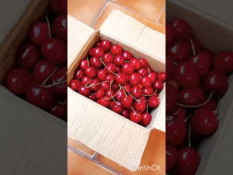 Kashmir Cherries🍒