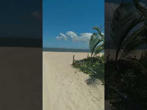 Ilha do Contrato- Igrapiúna-BA. Praia frequentada na infância.