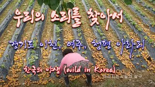 "우리의 소리를 찾아서" 경기도 여주 이천 아라리