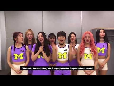 ARTISTE GREETINGS FROM MOMOLAND (모모랜드) | HALLYUPOPFEST 2018