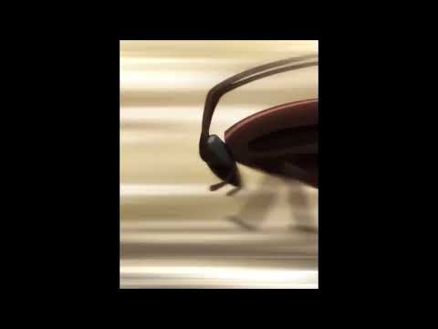 Baki demuestra a su padre 🗿 EL ATAQUE DE LA CUCARACHA 🪳#Baki#Yuhiro