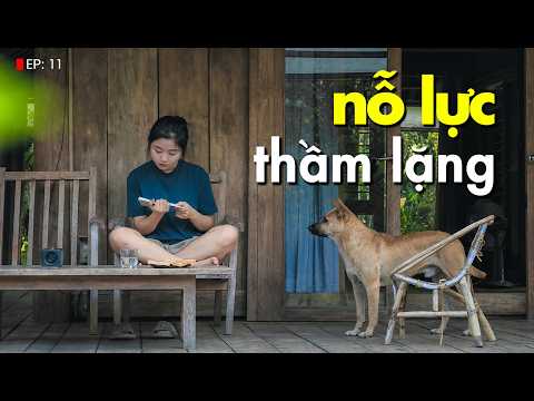 VT tạo tin bài video