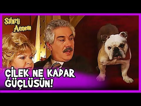 Taci Sihir Yaptı ve Umur'u ISIRDI! - Sihirli Annem 8.Bölüm