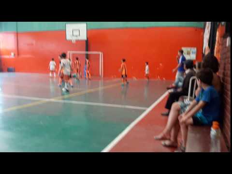 gol manu cat 05 fenix dvoto 2016