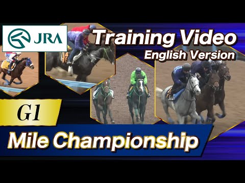 2025 Mile Championship  (G1) Training Video | JRA Official [ENG sub] マイルチャンピオンシップ 調教VTR（英語版）