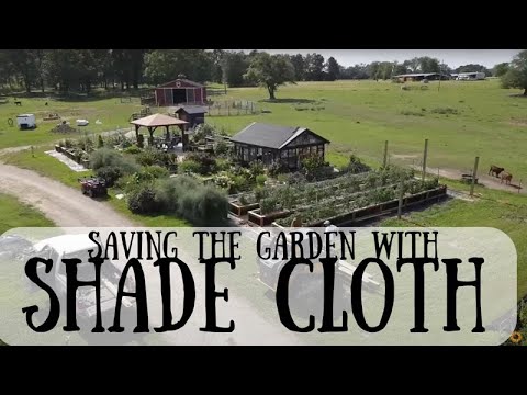 Building a Shade Cloth Structure in the Garden | Work VLOG