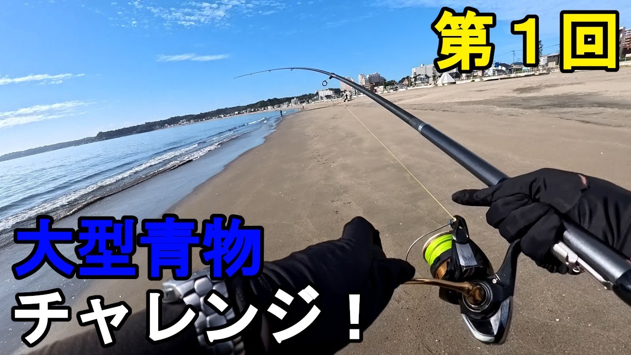【神奈川県某所】2025年度、第1回大型青物チャレンジ！秋の時期に、関東地方の三浦半島の東京湾側の釣り場で釣りしてみたら、今シーズン初魚種が釣れて想定外の事態に…！【2025年10月】