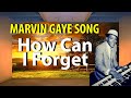 Marvin Gaye How Can I Forget