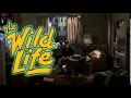 The Wild Life Trailer