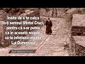 Regulile De Aur Ale Unui Mare Duhovnic Pentru Viata De Zi Cu Zi