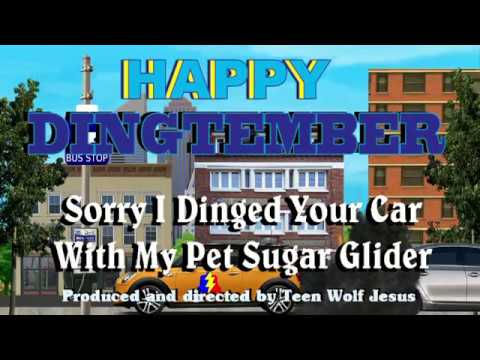 Sorry I Dinged Your Car With My Pet Sugar Glider