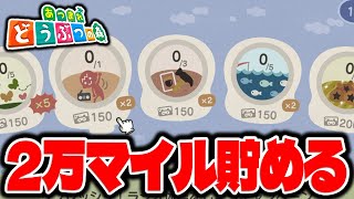 住民厳選のためにマイル貯めます