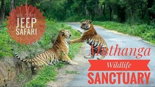 preview picture of video 'Wayanad Wildlife Sanctuary | muthanga | വയനാട് വന്യജീവി സം‌രക്ഷണകേന്ദ്രം | #kerala #wildlife more '