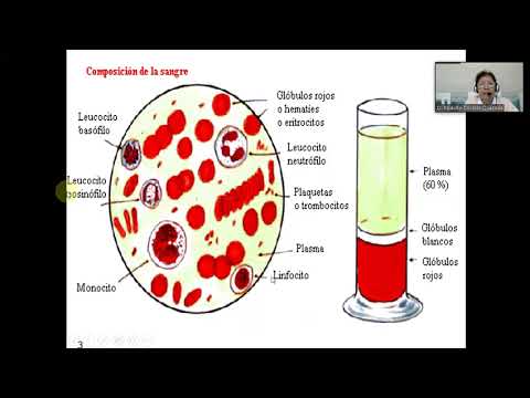 MOR112-B  07-06-21 ANATOMIA Y FISIOLOGIA