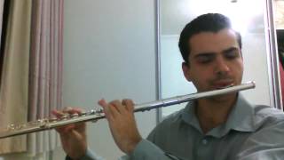 Flute - Bends Like a Willow Jethro Tull - Cover