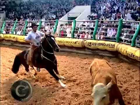 Golden Brake Hose Test