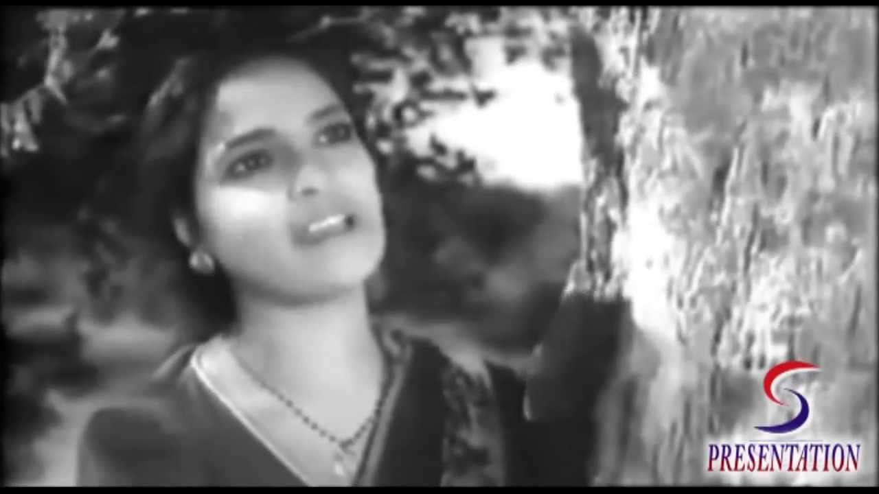 Papihaa Re Mere Piyaa Se Kahiyo Jaay Lyrics | Kismet | Parul Ghosh | Anil Biswas