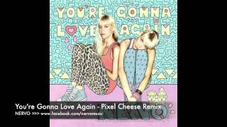 You&#39;re Gonna Love Again (Pixel Cheese Remix) - NERVO