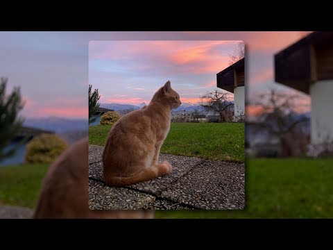 Zedd VS Nancy Sinatra VS Hozier - Take Me Down // slowed down + reverb