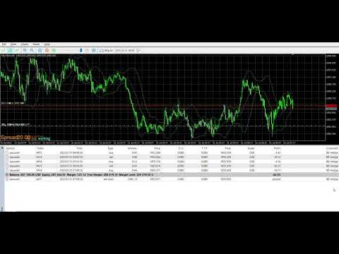 Video GoldMartingalePro