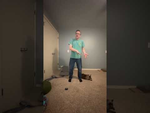 The Paradox of Flexibility | Vibepedia