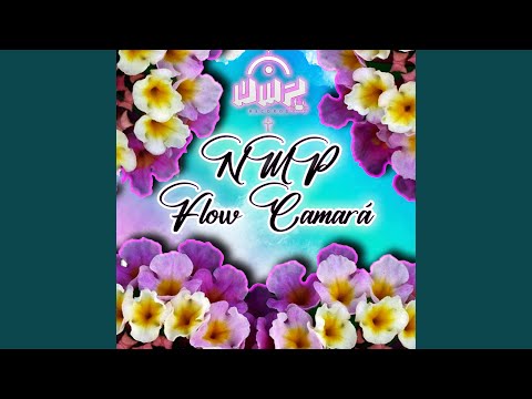 Flow Camará