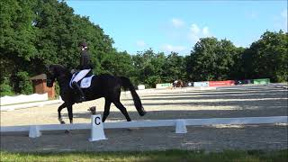 Wideo od du Oder Keiner Rainer