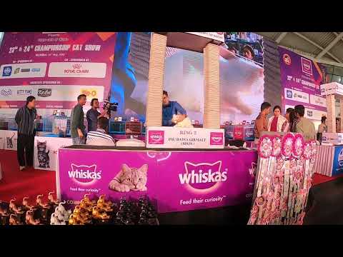 CAT SHOW AT VASHI EXHIBITION CENTRE 22052022
