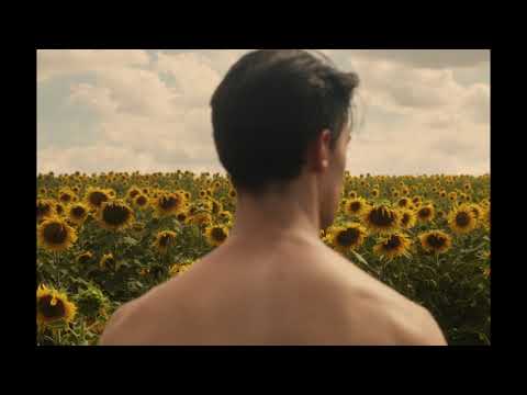 afbeelding Sunflower