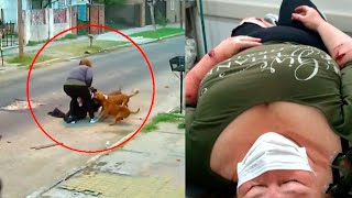Una mujer fue atacada por tres pitbull en San Martín y zafó de milagro