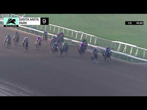 Self Sufficient wins Race 9 on Saturday, October 25 at Santa Anita Park