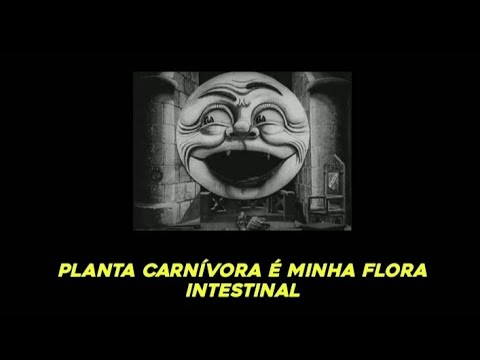 Patrick Horla & Eko - Coach do Terror (Legendado)