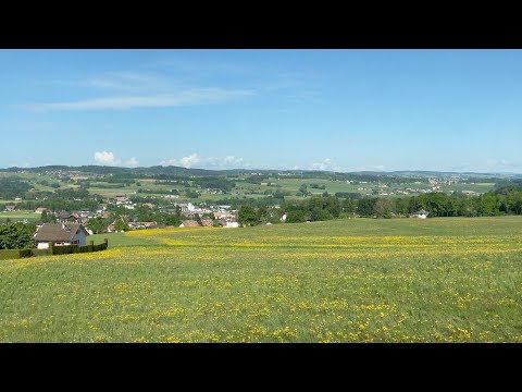 Riding the Léman Express in Lake Geneva Region, Switzerland🇨🇭