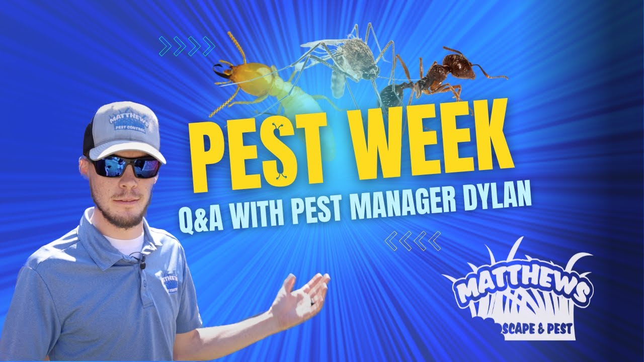 Q&A With Pest Control Manager Dylan
