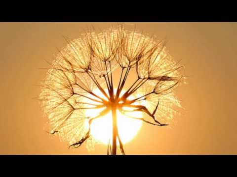2 minutes of relaxing music,2 minute meditation music,2 minutes meditation,music 2 minute