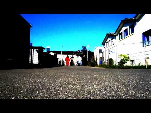 Welcome in the Hajvan World