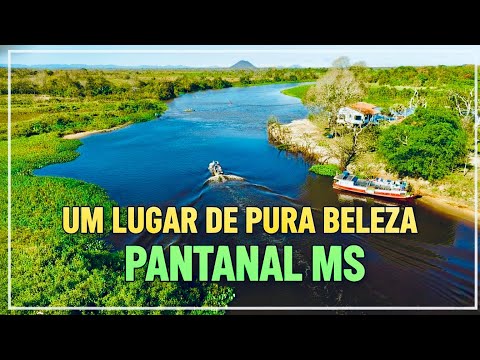 🇧🇷Um show de imagens‼️ Mato Grosso do Sul