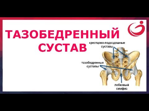 Суппорт-бандаж для коленного сустава Санатории лечения суставов в тульской области